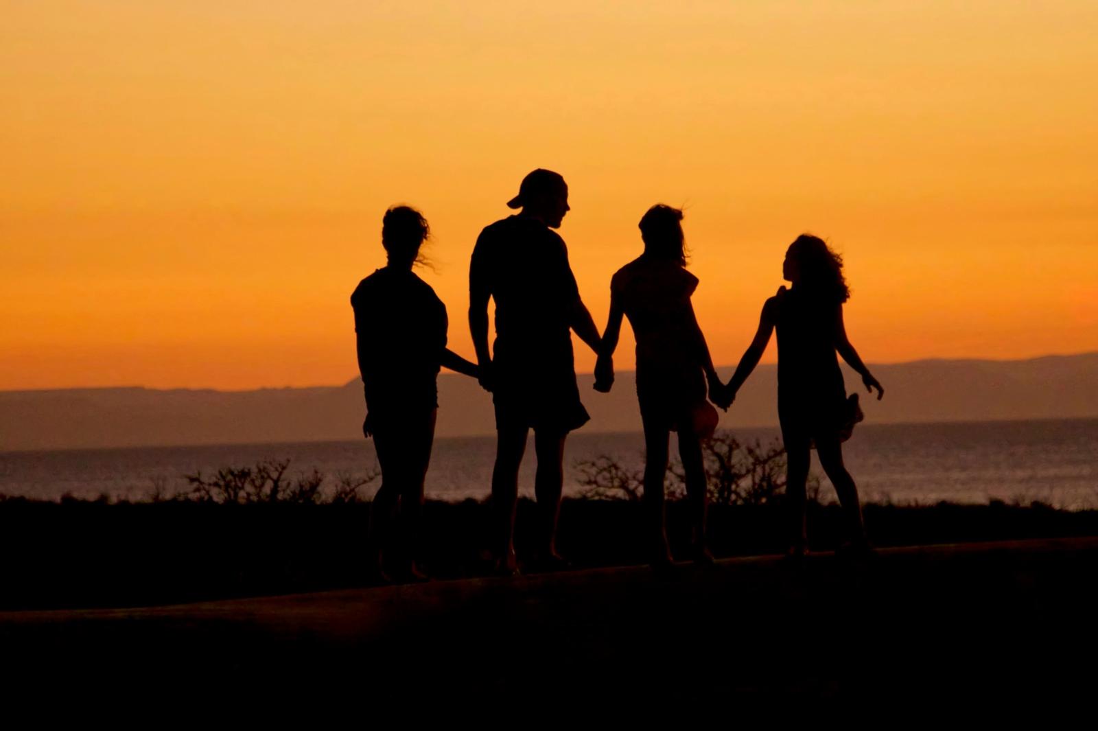 Silhouetted family holding hands at sunset, representing connection, relationships, and the emotional complexity of family dynamics explored in psychodynamic counselling.
